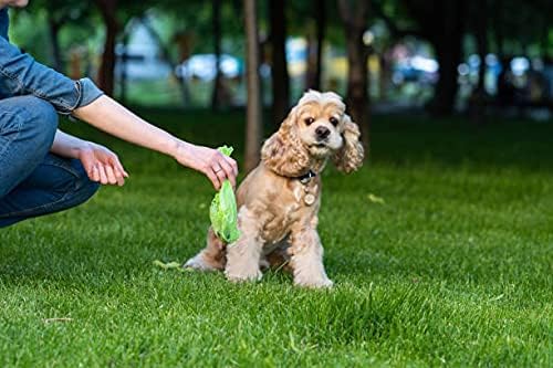 Dog Poop Bag Dispenser with Stainless Steel Carabiner Clip (PB0007) – Dog Waste Bag Holder (Without Bags)