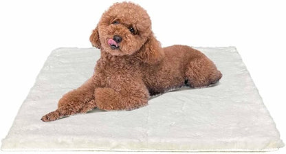 Dog Bed Mat Crate Pads for Dog Cages 24x17.7 Inch Washable Anti-Slip Dog Kennel Pad Soft Small Puppy Cage Cushion Liner, Beige