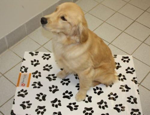 Ezee~Visit Black and White Dog Paw Print Pet Vet Mat (Standard)