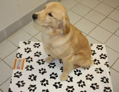 Ezee~Visit Black and White Dog Paw Print Pet Vet Mat (Standard)