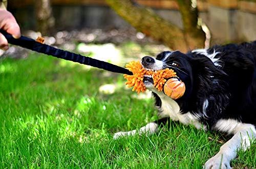 Dingo tug Toy for Dog, for Outdoor Indoor Play and tug of war, Bungee Handle, Soft Shaggy Nubby Like Plush Noodle and TPR Rubber Ball, Orange 15586