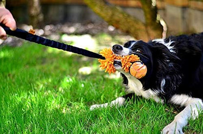 Dingo tug Toy for Dog, for Outdoor Indoor Play and tug of war, Bungee Handle, Soft Shaggy Nubby Like Plush Noodle and TPR Rubber Ball, Orange 15586