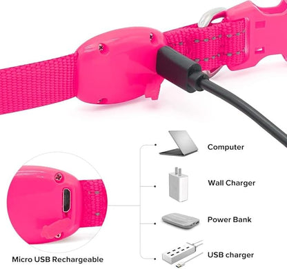 BSEEN Light Up Dog Collar - Reflective LED Dog Collar Rechargeable Glowing Pet Collar for Puppies & Cats, Safety Dog Lights for Night Walking (Pink)