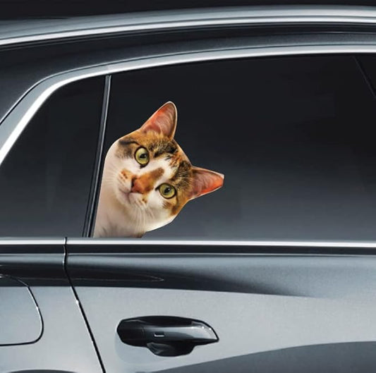 LEMONSODA Cat Car Window Decals Funny 3D Weatherproof Decals (Calico Cat)