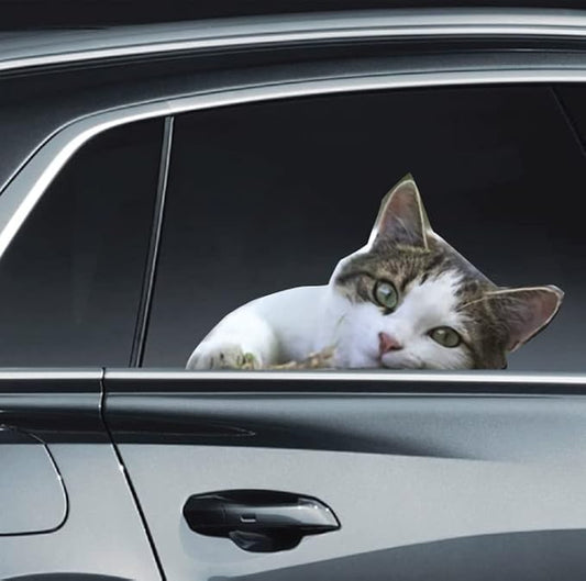LEMONSODA Cat Car Window Decals Funny 3D Weatherproof Decals (Lazy Cat)