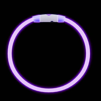 Rechargeable Reflective Pet Gear LED Dog Collar Light Up, Flashing Glowing Illuminated Collar for Night Walking, Neon Pet Collar with Light for Small/Medium/Large Dogs (Purple, 1-Pack)