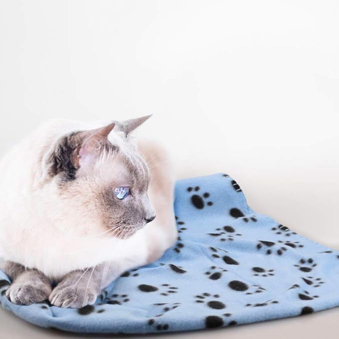 Comsmart Dog Blankets for Small Dogs, 6 Pack Puppy Blanket Cute Paw Print Pet Blanket for Dog, Puppy, Cat, Kitten, 24x28 inches, Blue