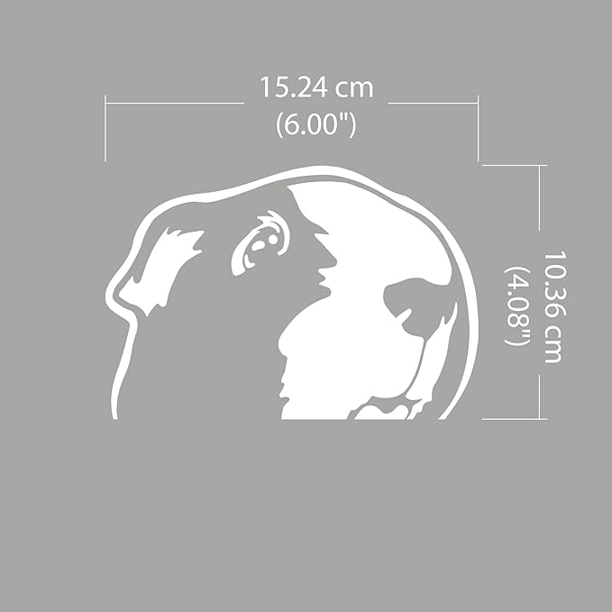 WIRESTER 6 inch Clear Vinyl Decal Sticker Decoration for Car Window (Or Any Flat Surface) - Guinea Pig