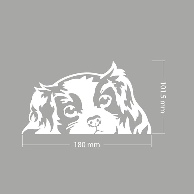 WIRESTER 6 inch Clear Vinyl Decal Sticker Decoration for Car Window (Or Any Flat Surface) - Cavalier King Charles Spaniels Dog