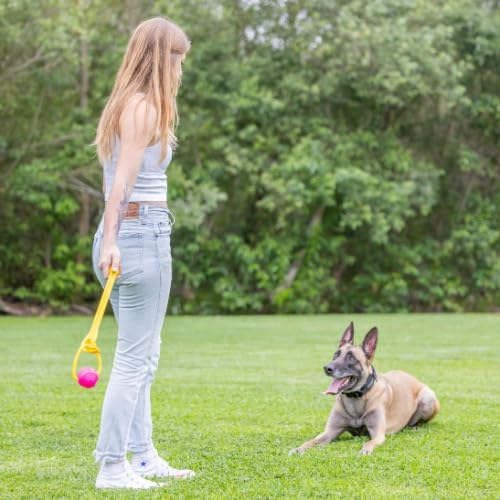 Project Hive Interactive Dog Toys - Set of 2 Looped Balls | Compatible with Hive Zoomer Dog Ball Thrower | Perfect for Fetch and Tug Play | Pink and Blue