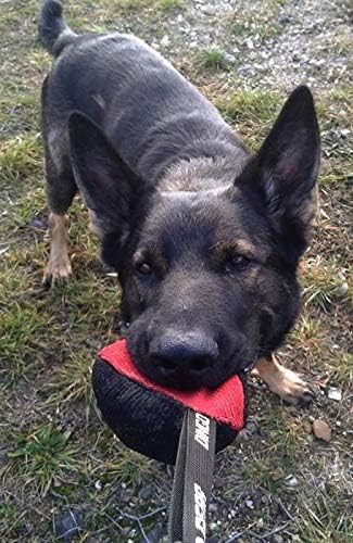 Dingo Gear Dog Tug Toy for Strong Dog, Bite Training, IGP, Fun, French Linen, Small Ball red S02780