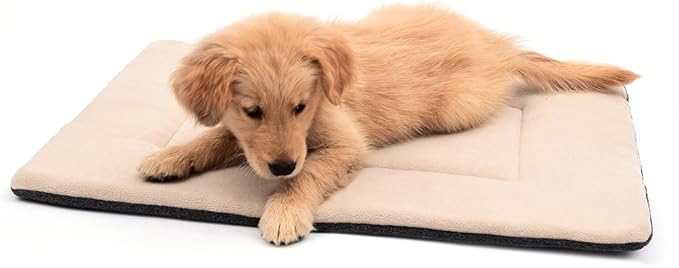 Dog Bed Crate Pad 22"