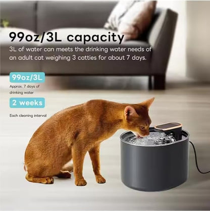 Pet Water Dispenser for Small Dogs and Cats with Free Filter 24/7 Filtration System 3 Liter Capacity with Ultra Silent Pump Modern Indoor Design BPA Free Easy to Clean