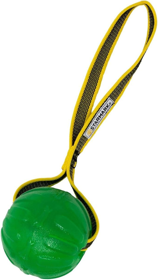 GripCord Chew Ball Loop MdLg