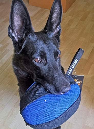 Dingo Gear Dog Tug Toy for Strong Dog, Bite Training, IGP, Fun, French Linen, Rugby red S02782