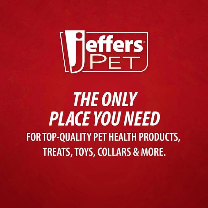 Jeffers Pet Plush Bone Dog Toy with Squeakers, Blue Bunny, 14" H - Durable & Interactive Chew & Fetch Toy for Puppies, Soft Stuffed Pet Toy for Tug, Games, Indoor & Outdoor Fun