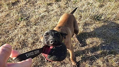Dingo Gear Dog Tug Toy for Strong Dog, Bite Training, IGP, Fun, French Linen, Small Ball red S02780
