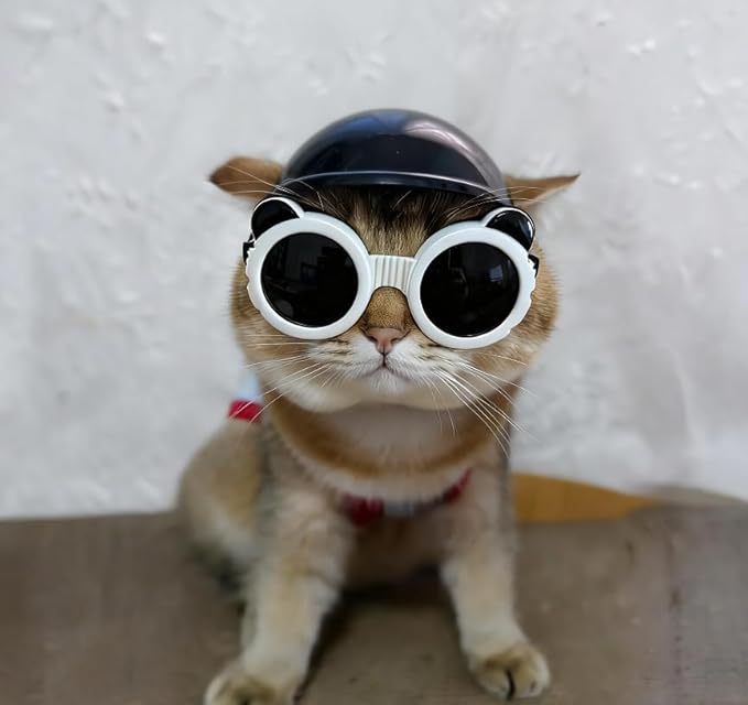 PETLESO Extra Small Dog Goggles and XSmall Dog Helmet, 2Pcs Anti-UV Doggy Sunglasses Cat Motorcycle Protecetive Helmet Set, Chihuahua Safety Hard Hat Outdoor Head & Eyes Protection, White XS