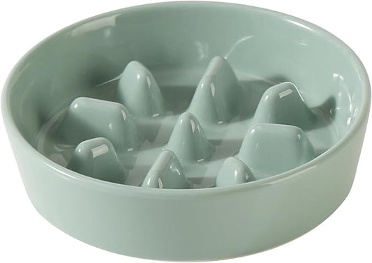 Ceramic 0.9 Cup Dog Bowl Slow Feeder, 6.1inch Slow Pet Food Dish for Small Dog and Cat, Stop Bloat, Preventing Choking(Single Bowl, Light Green)
