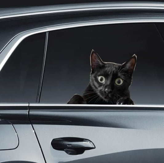 LEMONSODA Cat Car Window Decals Funny 3D Weatherproof Decals (Black Cat)