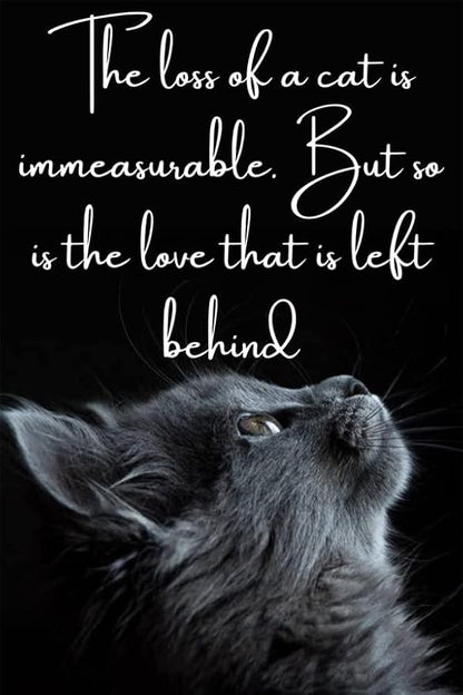 Black Cat On White Moon Stained Glass Window Hangings Ornament,Cat Memorial Gifts, Themed Gifts for Cats Lovers