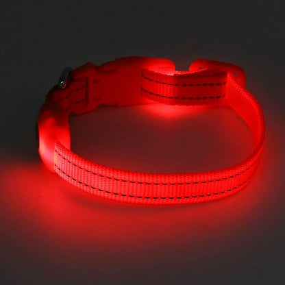BSEEN LED Dog Collar - Rechargeable Light Up Dog Collar for Small Dogs& Cats, Reflective Adjustable Puppy Collar Safety Dog Lights for Night Walking (Red, XS)