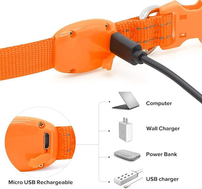 BSEEN Light Up Dog Collar, Reflective LED Dog Collar Rechargeable Glowing Puppy Collar for Puppies & Cats，Safety Dog Lights for Night Walking (Orange)