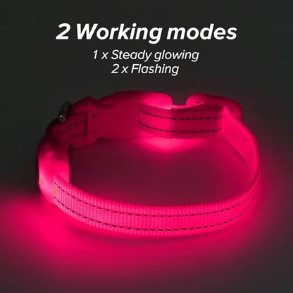 BSEEN Light Up Dog Collar - Reflective LED Dog Collar Rechargeable Glowing Pet Collar for Puppies & Cats, Safety Dog Lights for Night Walking (Pink)