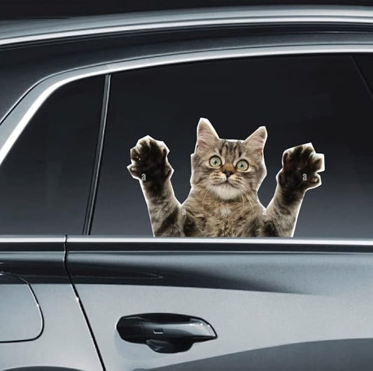 LEMONSODA Cat Car Window Decals Funny 3D Weatherproof Decals (Scared Cat)