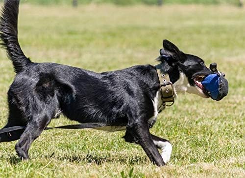 Dingo Gear Dog Tug Ball Ø 11 cm Bite Training IGP K9 Fun Blue S02791