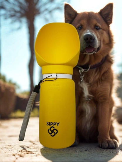 Sippy Cup Portable Foldable Pet Water Bottle – Compact Collapsible Dog & Cat Travel Cup – Food-Grade Silicone & PP, BPA-Free – Leak-Proof for Walking, Travel & Outdoor Use – Sea Blue