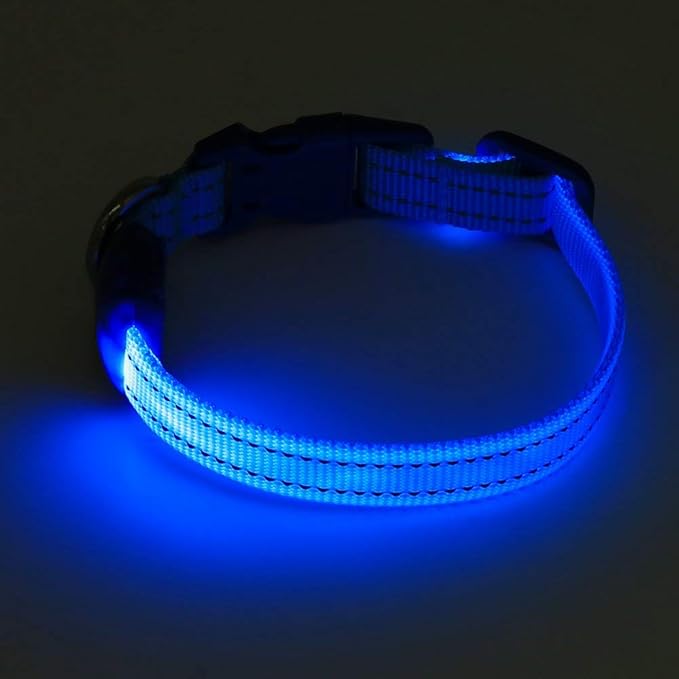 BSEEN Light Up Dog Collar - Reflective LED Dog Collar Rechargeable Glowing Cat Collars Adjustable Puppy Collar Safety Dog Lights for Night Walking (Blue, XS)