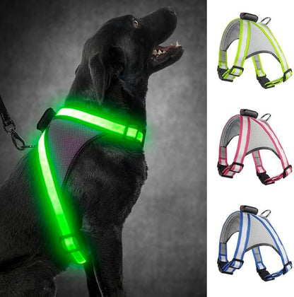 Visinite LED Dog Harness, USB Rechargeable Light Up Dog Vest, 2 Illuminate Modes Glow in The Dark Dog Harness, Adjustable Lighted Pet Harness Light for Night Walking Safety (Green, M)