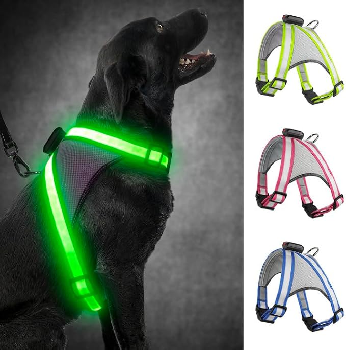 Visinite LED Dog Harness, USB Rechargeable Light Up Dog Vest, 2 Illuminate Modes Glow in The Dark Dog Harness, Adjustable Lighted Pet Harness Light for Night Walking Safety (Green, XL)