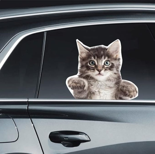 LEMONSODA Cat Car Window Decals Funny 3D Weatherproof Decals (Paws Up)