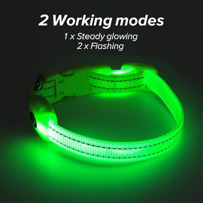 BSEEN Light Up Dog Collars - Glowing LED Dog Collar Rechargeable Puppy Collar for Small Dogs & Cats, Safety Dog Lights for Night Walking (Green)