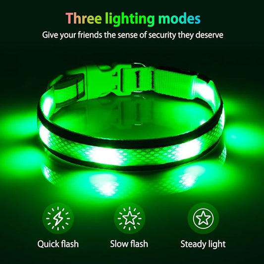 Illumifun Light Up Dog Collar - USB Rechargeable LED Dog Collar Glow in The Dark - High Visibility Glow Collar Light for Nighttime Walking (Large, Fluorescent Green)