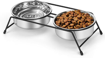 Raised Cat Bowls Cat Feeder Holders 2 Stainless Steel Elevated Pet Water Food Bowl for Cats Puppies Rabbits (2 Bowls)