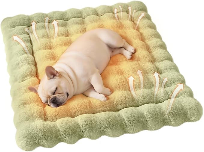 Cat & Dog Bed Mat, Soft Plush Faux Fur Kneading Pet Bed for 2 Cats or Small Dogs, Machine Washable Cat Sleeping Pad, Non-Slip Fluffy Pet Rug for Indoor Cats Kittens & Small Dogs, 27x20 In Green