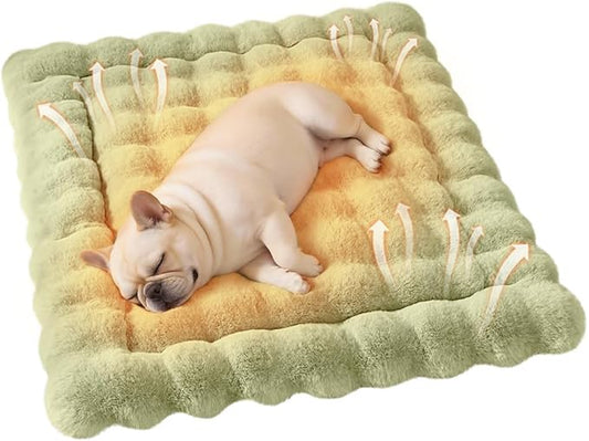Cat & Dog Bed Mat, Soft Plush Faux Fur Kneading Pet Bed for 2 Cats or Small Dogs, Machine Washable Cat Sleeping Pad, Non-Slip Fluffy Pet Rug for Indoor Cats Kittens & Small Dogs, 27x20 In Green