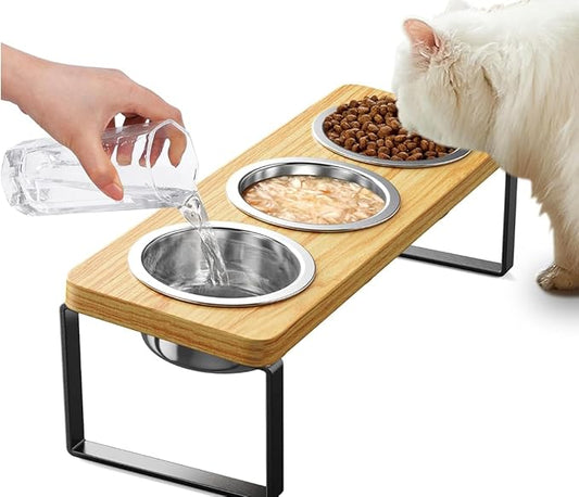 2 Pack Elevated Cat Bowls with 3 Stainless Steel Bowls | 10° Tilted Anti-Vomiting Raised Cat Food Bowl for Small Cats and Puppies Pet Bowl with Stand