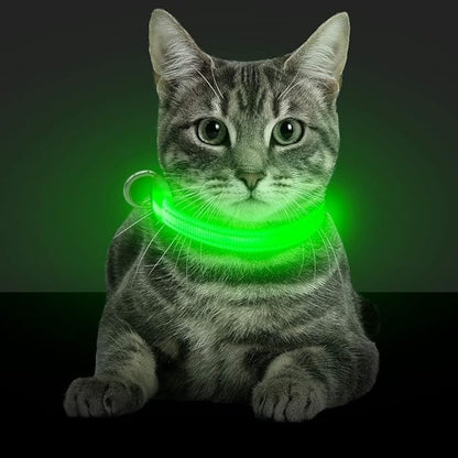 BSEEN Light Up Dog Collars - Glowing LED Dog Collar Rechargeable Puppy Collar for Small Dogs & Cats, Safety Dog Lights for Night Walking (Green)