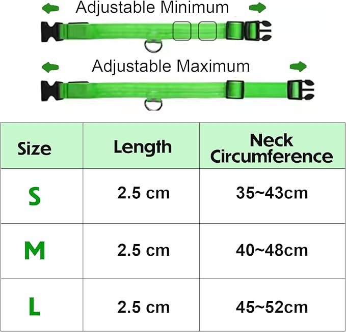 Light Up Dog Collar – Reflective, Adjustable & Rechargeable Electronic Glow Pet Collars – Bright, Comfortable, High Visibility LED Dog Collar for Night Safety, Outdoor Walk, Flashing Fun, Green, Large