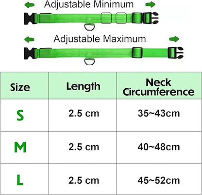 Light Up Dog Collar – Reflective, Adjustable & Rechargeable Electronic Glow Pet Collars – Bright, Comfortable, High Visibility LED Dog Collar for Night Safety, Outdoor Walk, Flashing Fun, Green, Large