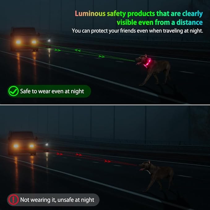 Illumifun LED Dog Collar, USB Rechargeable Light Up Dog Collar Glow in The Dark, Adjustable Safety Pet Collar for Night Walking (Small, Light Pink)