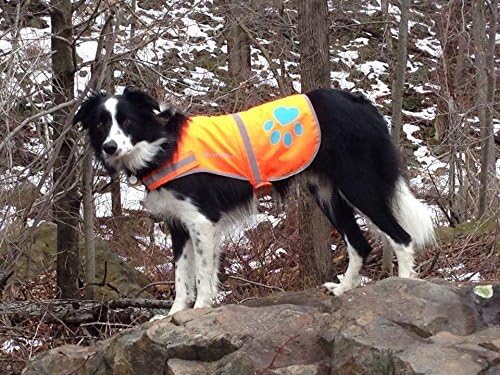 SafetyPUP XD Reflective Dog Vest. Hi-Visibility, Fluorescent Blaze Orange Dog Vest Helps Protect Your Best Friend. Safeguard Your PUP from Motorists & Hunting Accidents, On or Off Leash (Medium)
