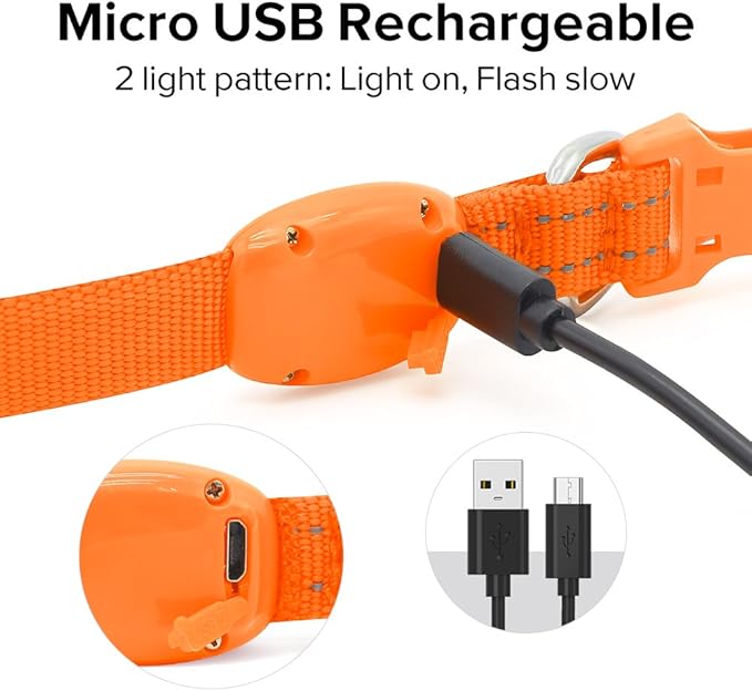 BSEEN Light Up Dog Collar, Rechargeable LED Dog Collar Glowing Cat Collars Reflective Puppy Collar Safety Dog Lights for Night Walking(Orange, XS)