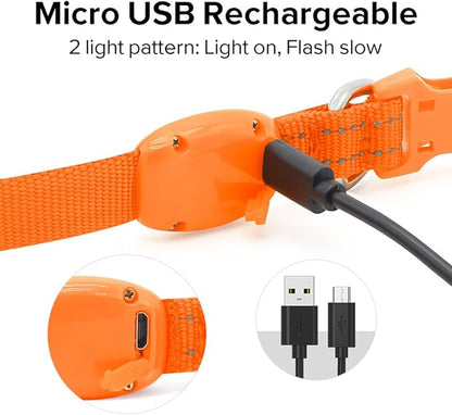 BSEEN Light Up Dog Collar, Rechargeable LED Dog Collar Glowing Cat Collars Reflective Puppy Collar Safety Dog Lights for Night Walking(Orange, XS)
