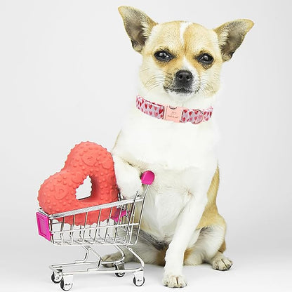 Valentines Dog Collar, White Red Heart Valentine Pet Collar with Metal Buckel, Durable Adjustable Holiday Dog Collars for Small Medium Large Dogs XL