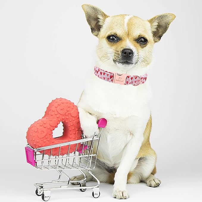 Valentines Dog Collar, White Red Heart Valentine Pet Collar with Metal Buckel, Durable Adjustable Holiday Dog Collars for Small Medium Large Dogs M